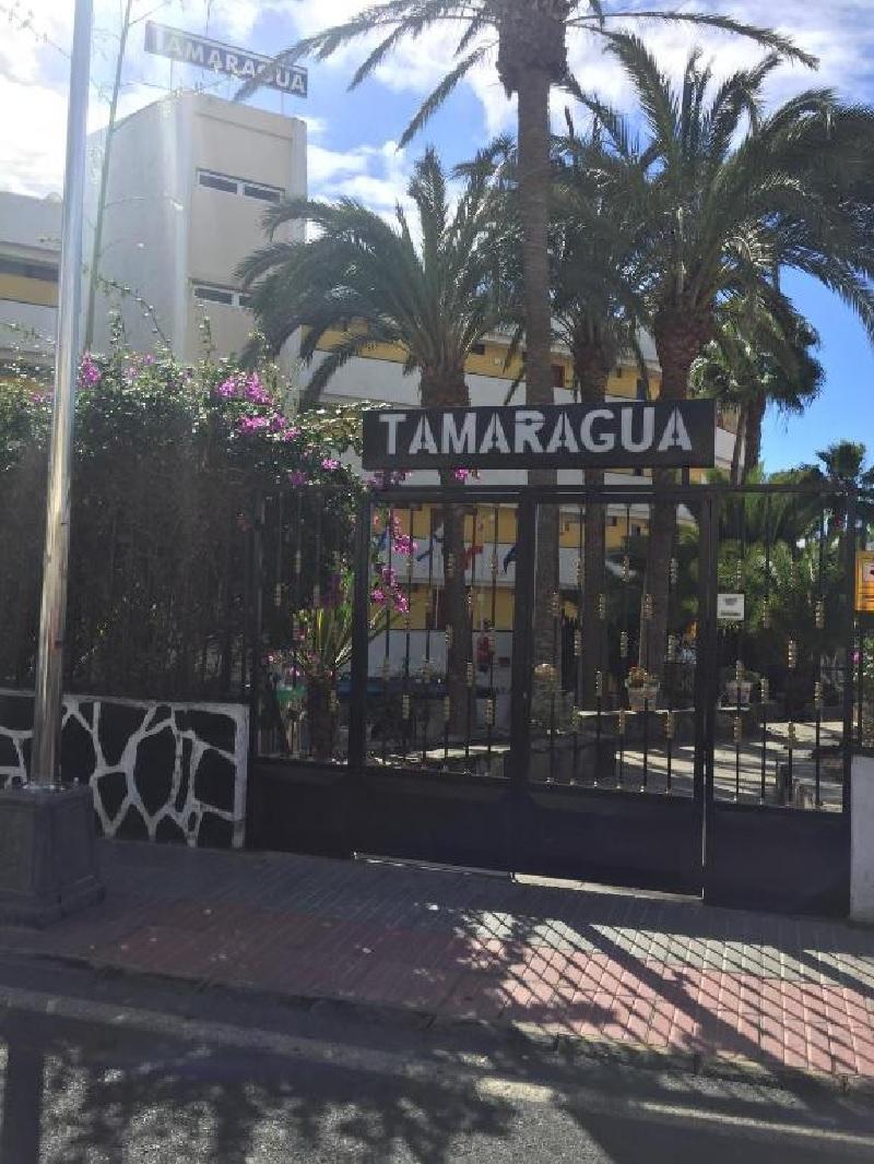 פלאייה דל אינגלז Apartamentos Tamaragua מראה חיצוני תמונה