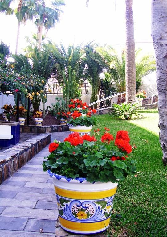 פלאייה דל אינגלז Apartamentos Tamaragua מראה חיצוני תמונה