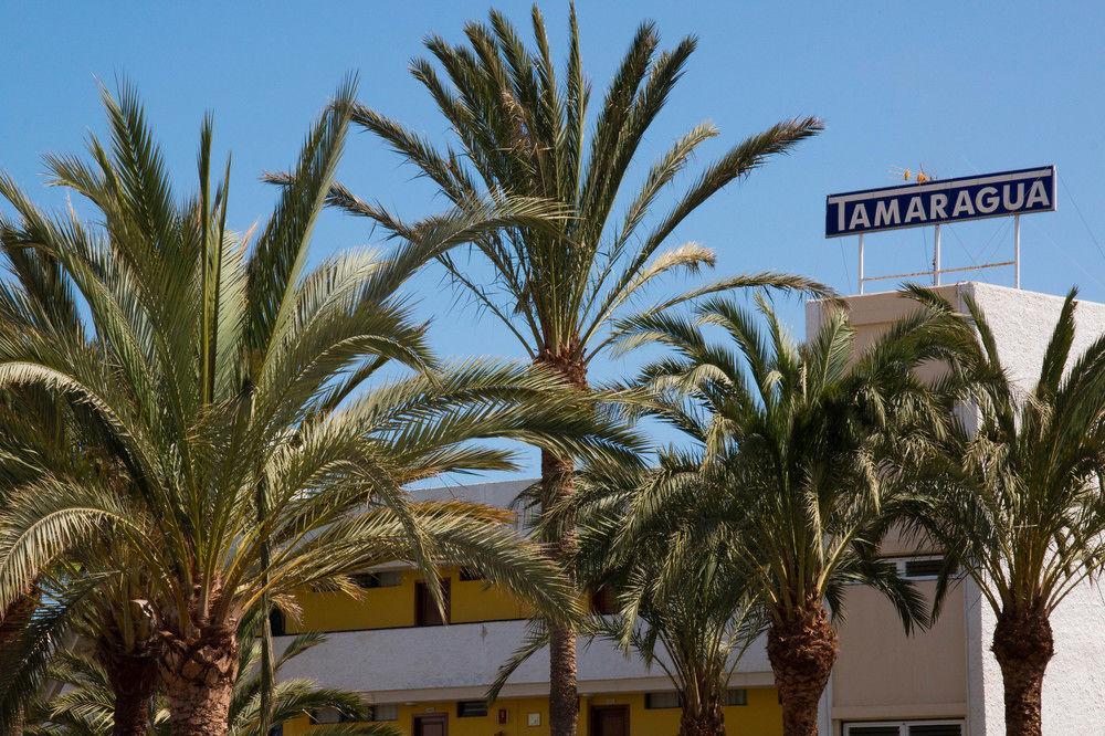 פלאייה דל אינגלז Apartamentos Tamaragua מראה חיצוני תמונה