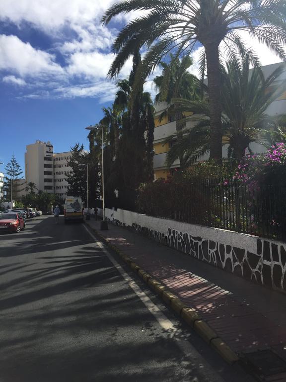 פלאייה דל אינגלז Apartamentos Tamaragua מראה חיצוני תמונה